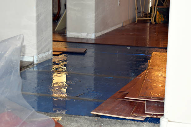 Professional Sewage Cleanup technician working in Lakeland, MI